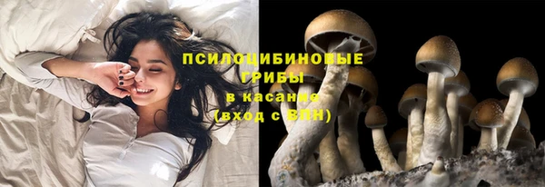 ешки Алзамай