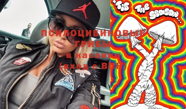 ешки Алзамай