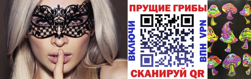 купить   Сухой Лог  Псилоцибиновые грибы Cubensis 